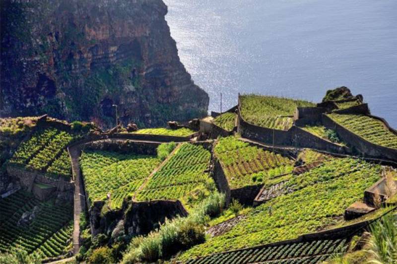 Camara dos Lobos Vin Madère Portugal